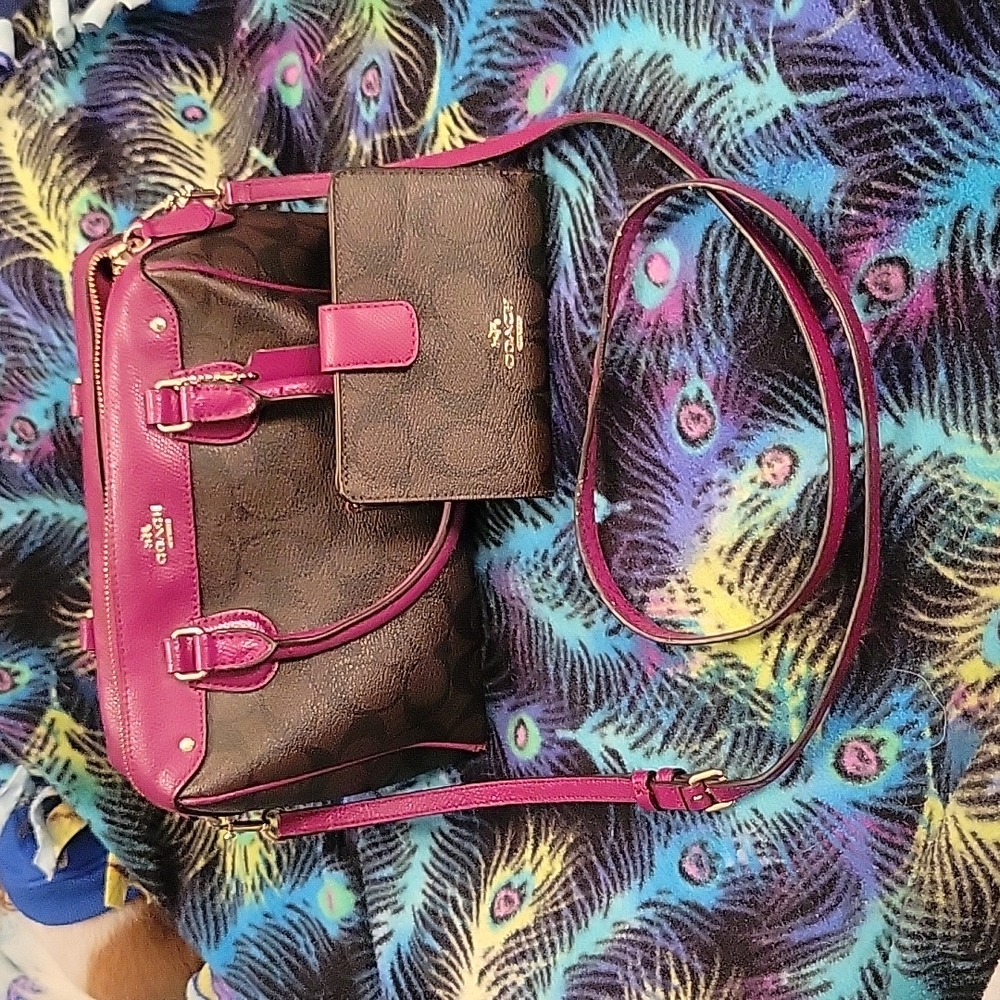 Coach Mini Bennett purse & matching wallet